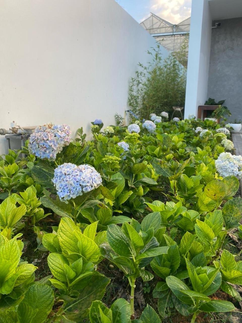 Ekehaus Da Lat Hotel Khu Chi Lăng Екстериор снимка